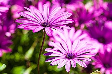 《狙击精英5》未能通过Epic发行 原因未知